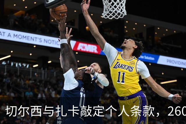 切尔西与扎卡敲定个人条款，2600万镑报价等待桑德兰放行